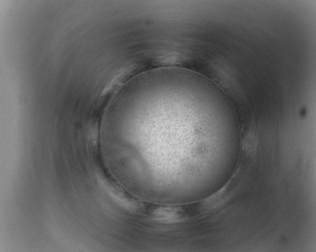 X0000112810179200908281515