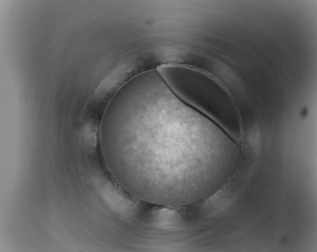 X0000112810180200908281515