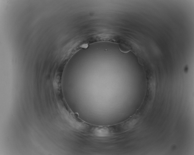 X0000112810181200908281515