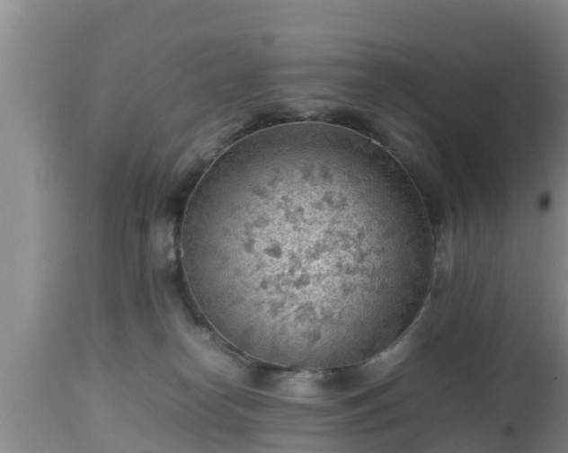 X0000112810182200908281515