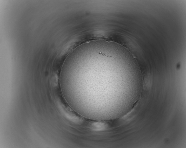 X0000112810183200908281515