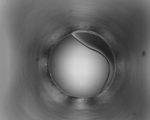 X0000112810184200908281515