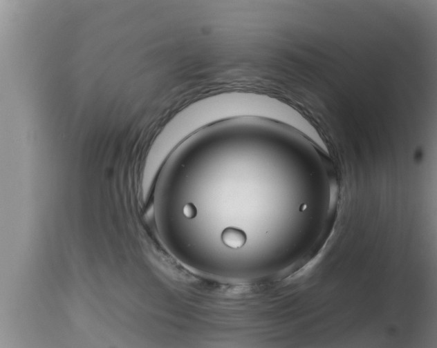 X0000112810186200908281515