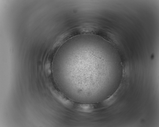 X0000112810187200908281515