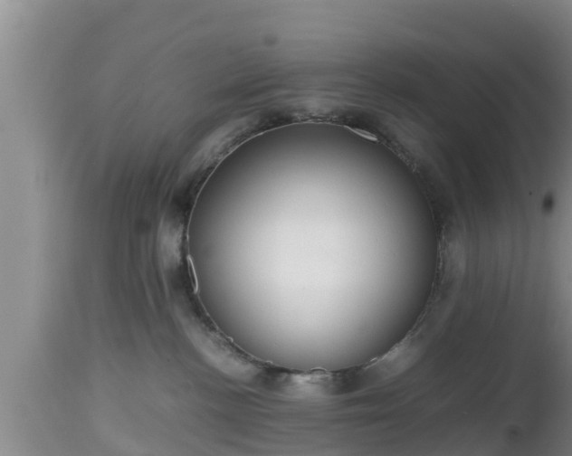 X0000112810188200908281515