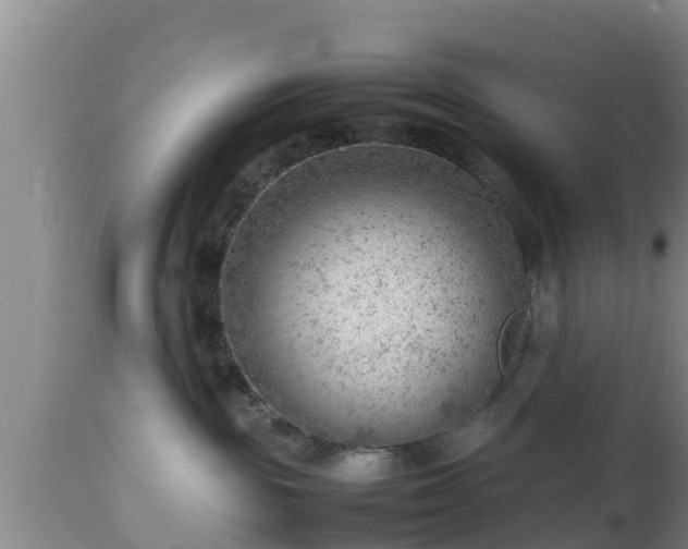 X0000112810189200908281515