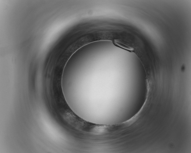 X0000112810190200908281515