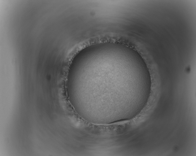 X0000112810192200908281515
