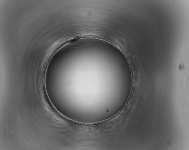 X0000112810193200908281515