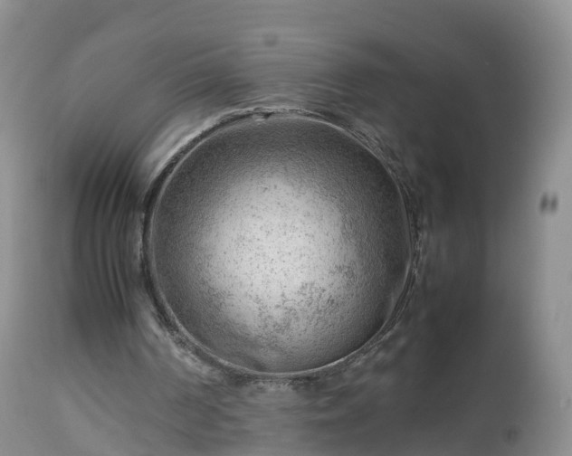 X0000112810194200908281515