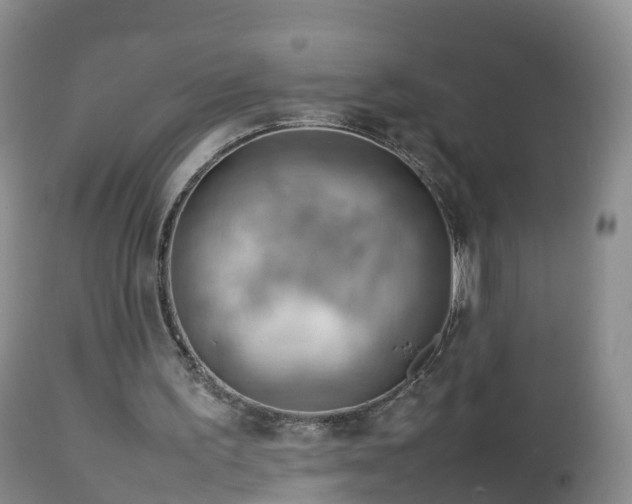 X0000112810195200908281515