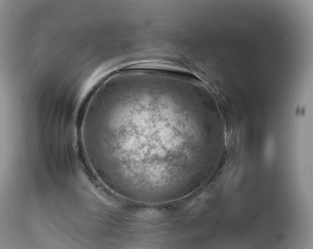 X0000112810198200908281515
