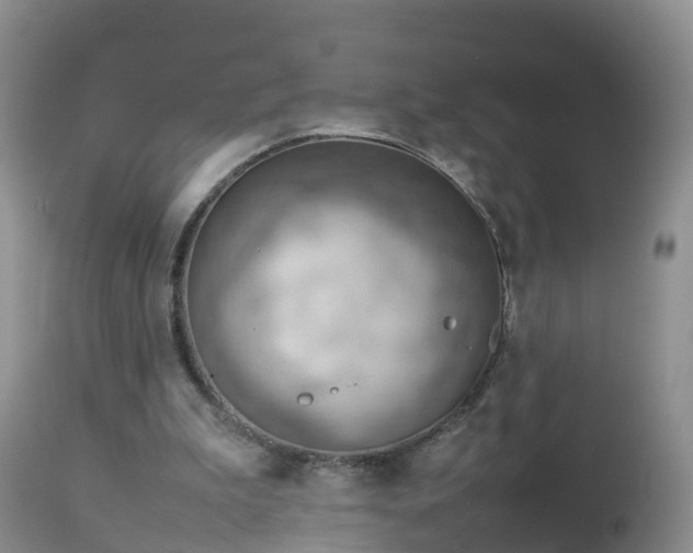X0000112810199200908281515