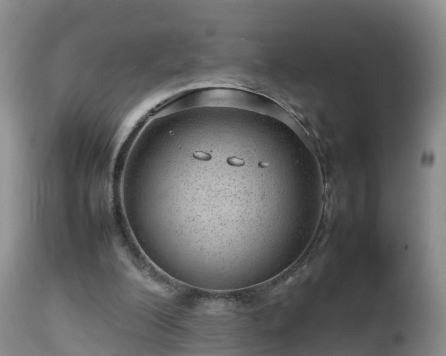 X0000112810200200908281515