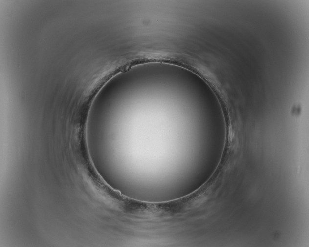X0000112810201200908281515