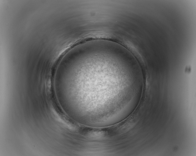 X0000112810202200908281515