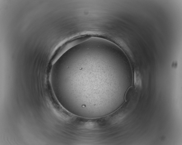 X0000112810204200908281515