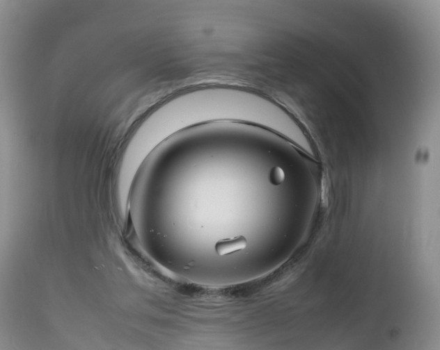 X0000112810205200908281515