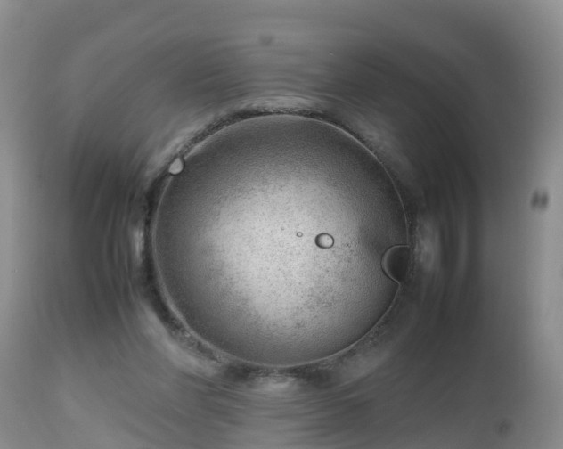 X0000112810206200908281515