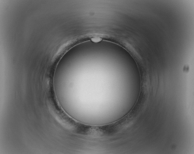 X0000112810207200908281515