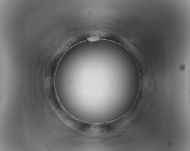 X0000112810209200908281515