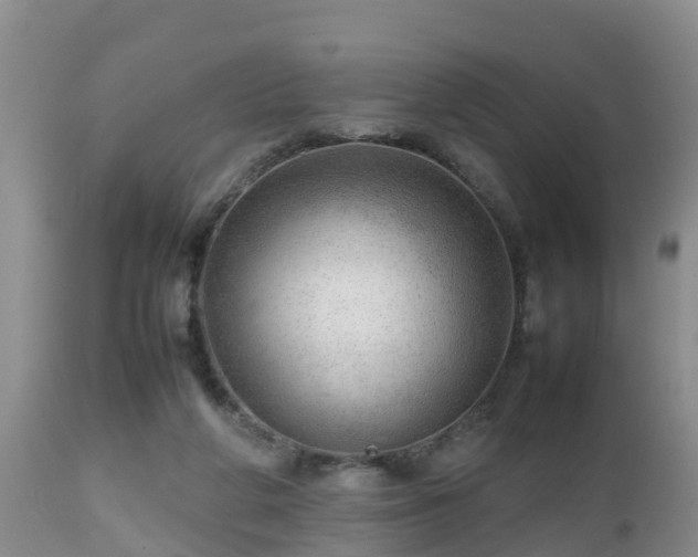 X0000112810210200908281515