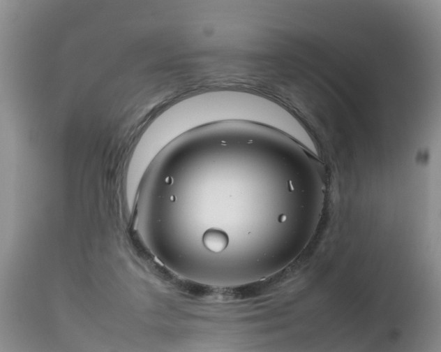 X0000112810211200908281515