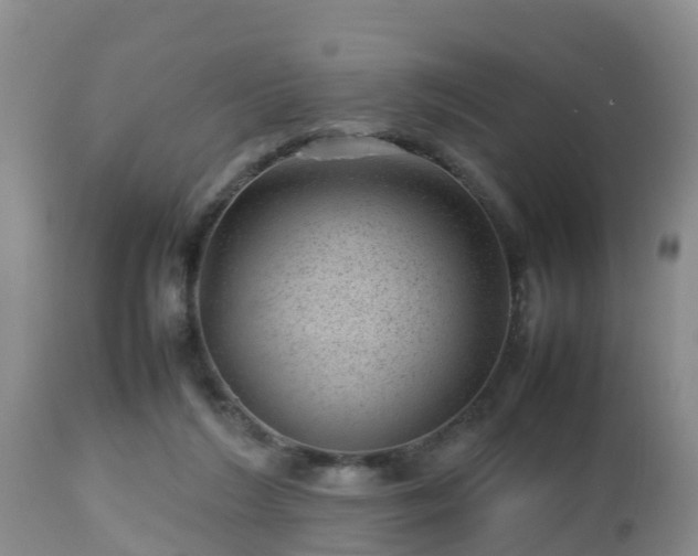 X0000112810212200908281515