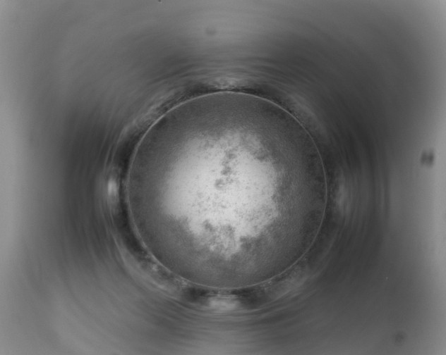 X0000112810214200908281515