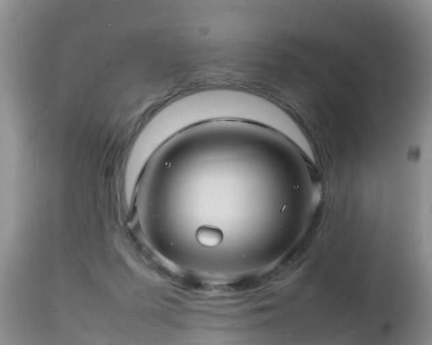X0000112810215200908281514