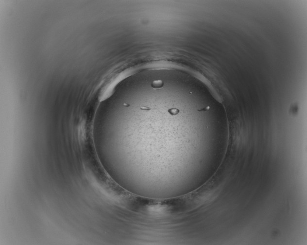 X0000112810216200908281514