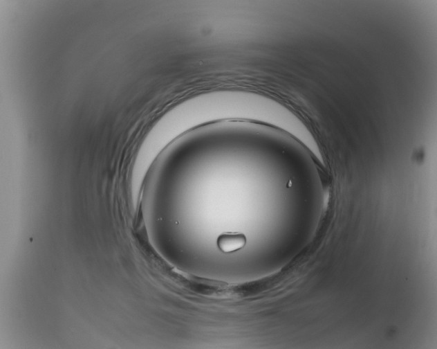 X0000112810217200908281514