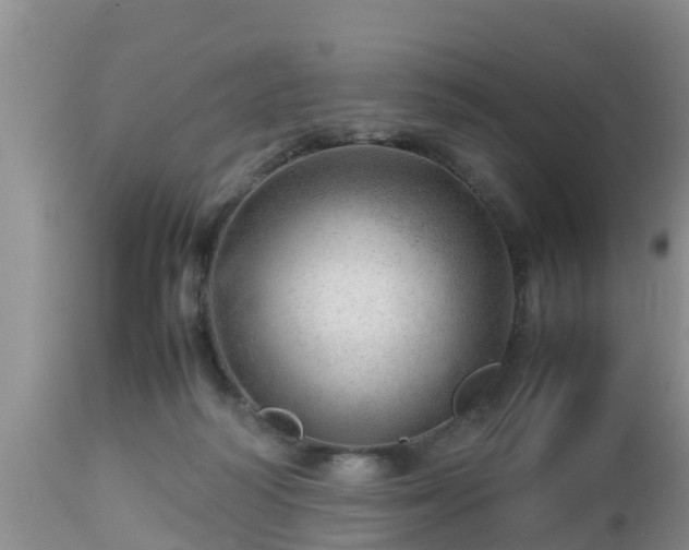 X0000112810218200908281514