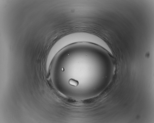 X0000112810219200908281514