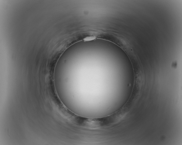 X0000112810221200908281514