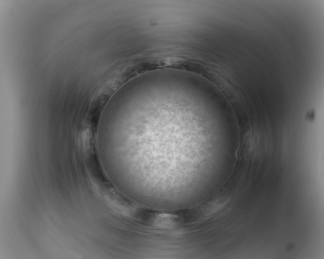 X0000112810222200908281514