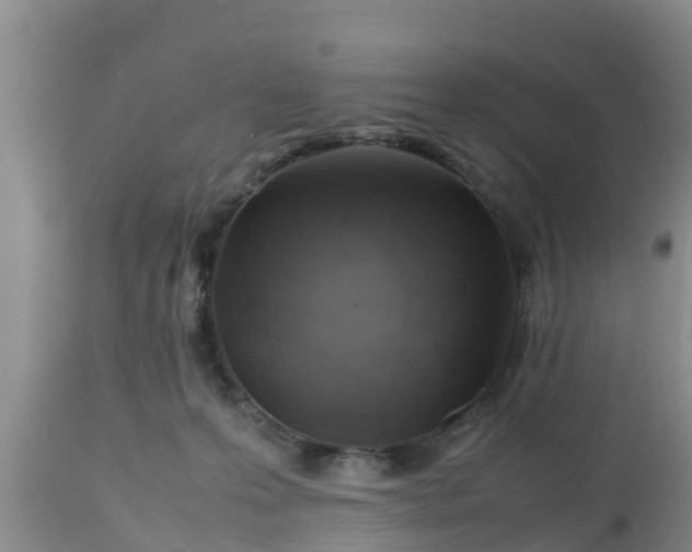 X0000112810223200908281514