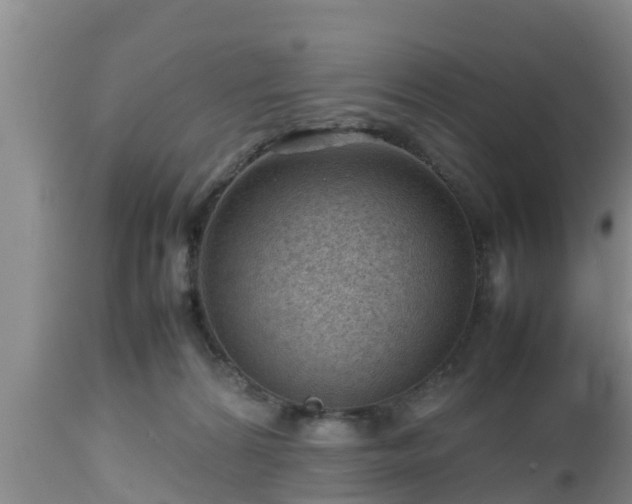 X0000112810224200908281514