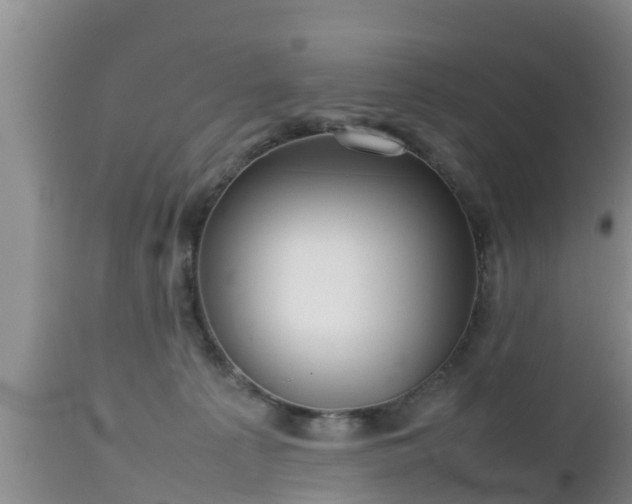 X0000112810225200908281514