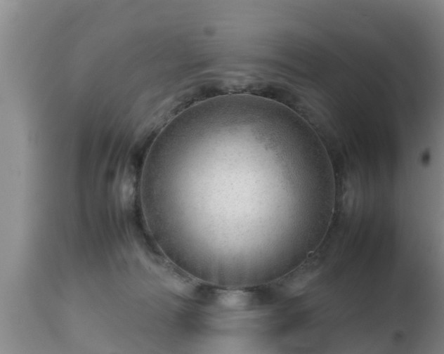 X0000112810226200908281514
