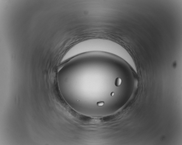 X0000112810227200908281514