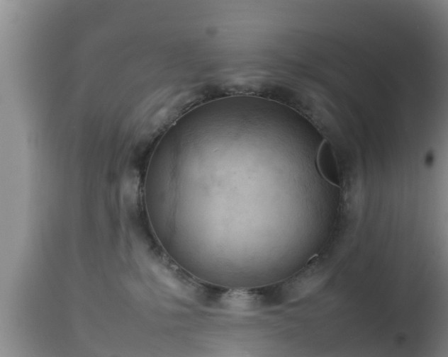 X0000112810231200908281514