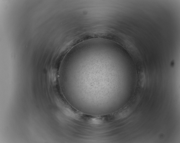 X0000112810232200908281514