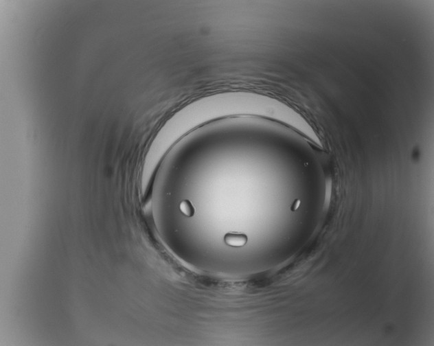 X0000112810235200908281514