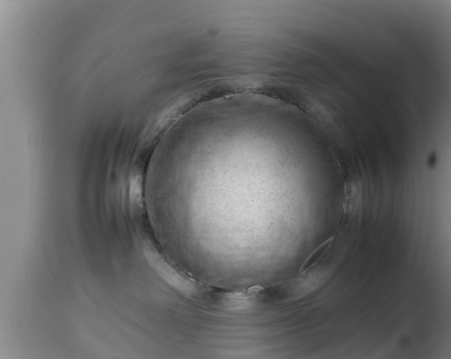 X0000112810238200908281514