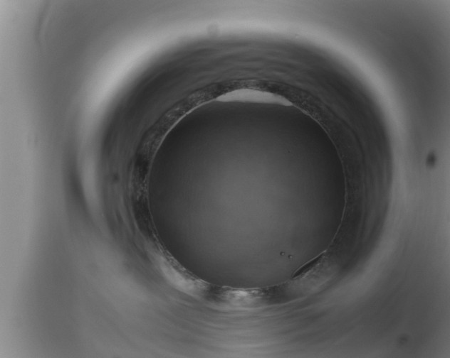 X0000112810239200908281514