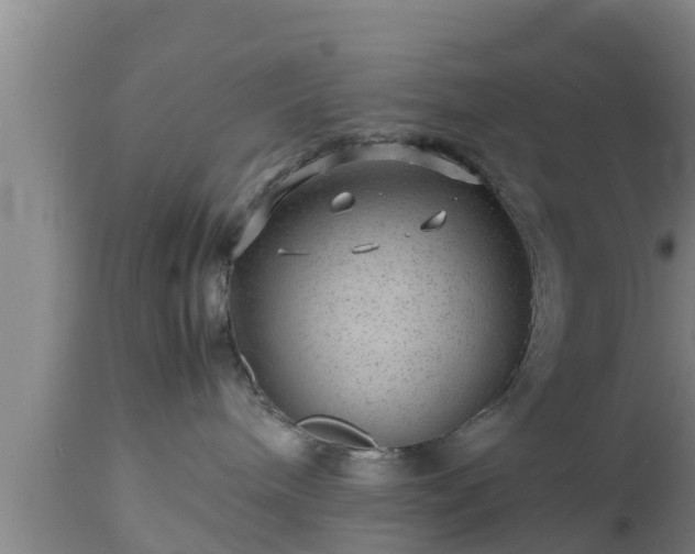 X0000112810240200908281514