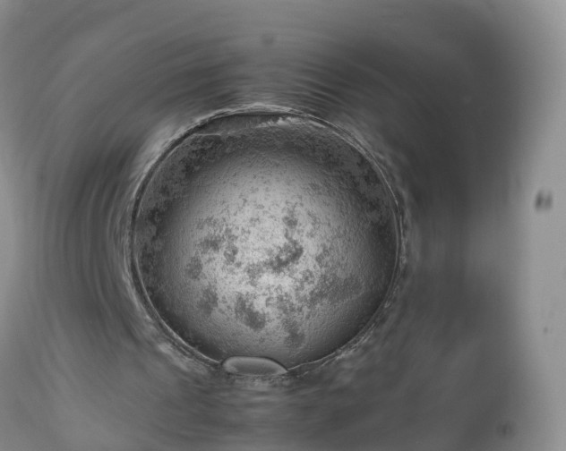 X0000112810241200908281513