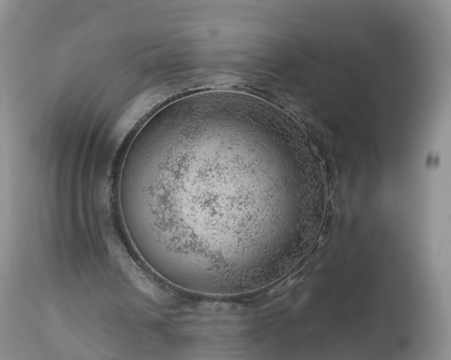 X0000112810242200908281513