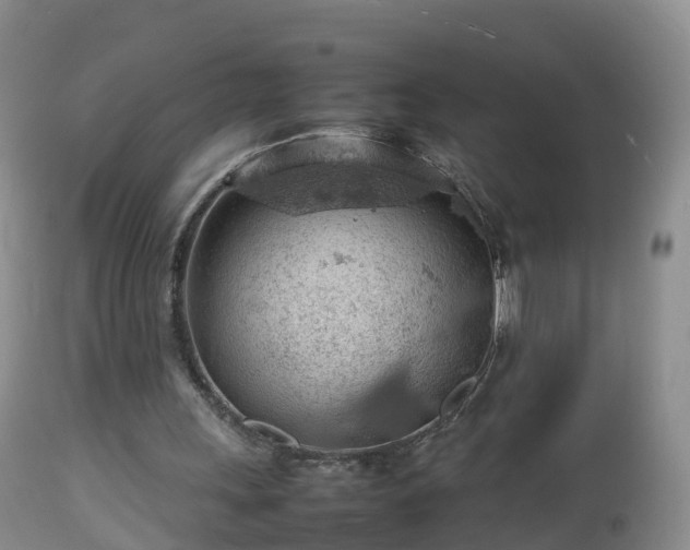 X0000112810243200908281513